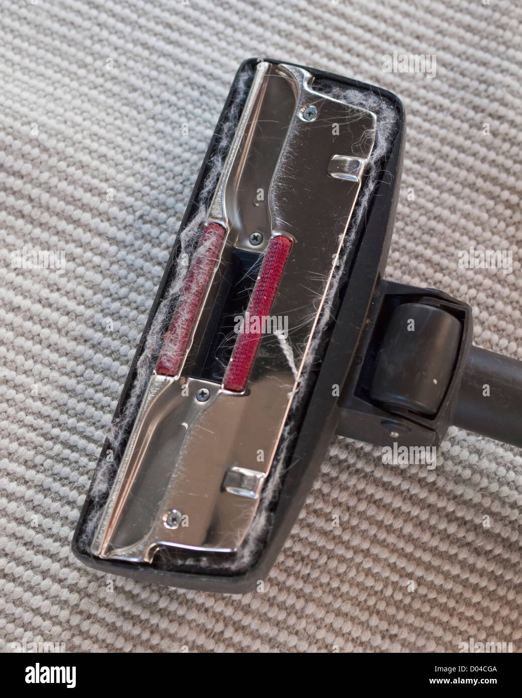 Dirty, dusty and hairy vacuum cleaner head Stock Photo Alamy