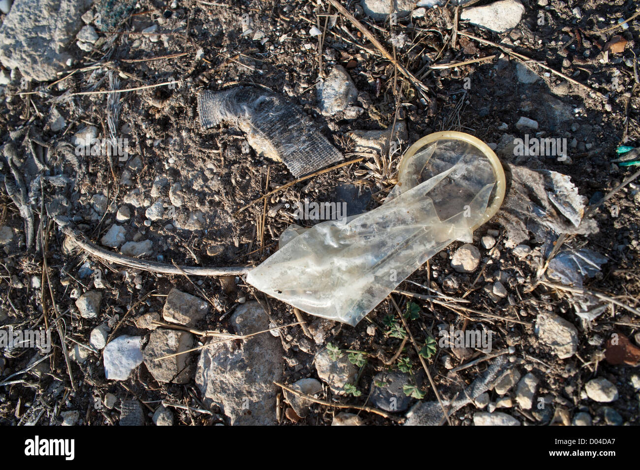 A used condom on the ground. Stock Photo