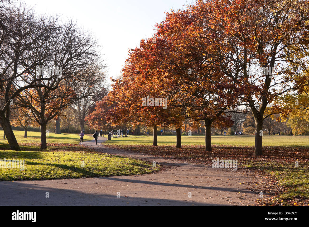 Regent's Park on an autumn afternoon, London, England, UK Stock Photo