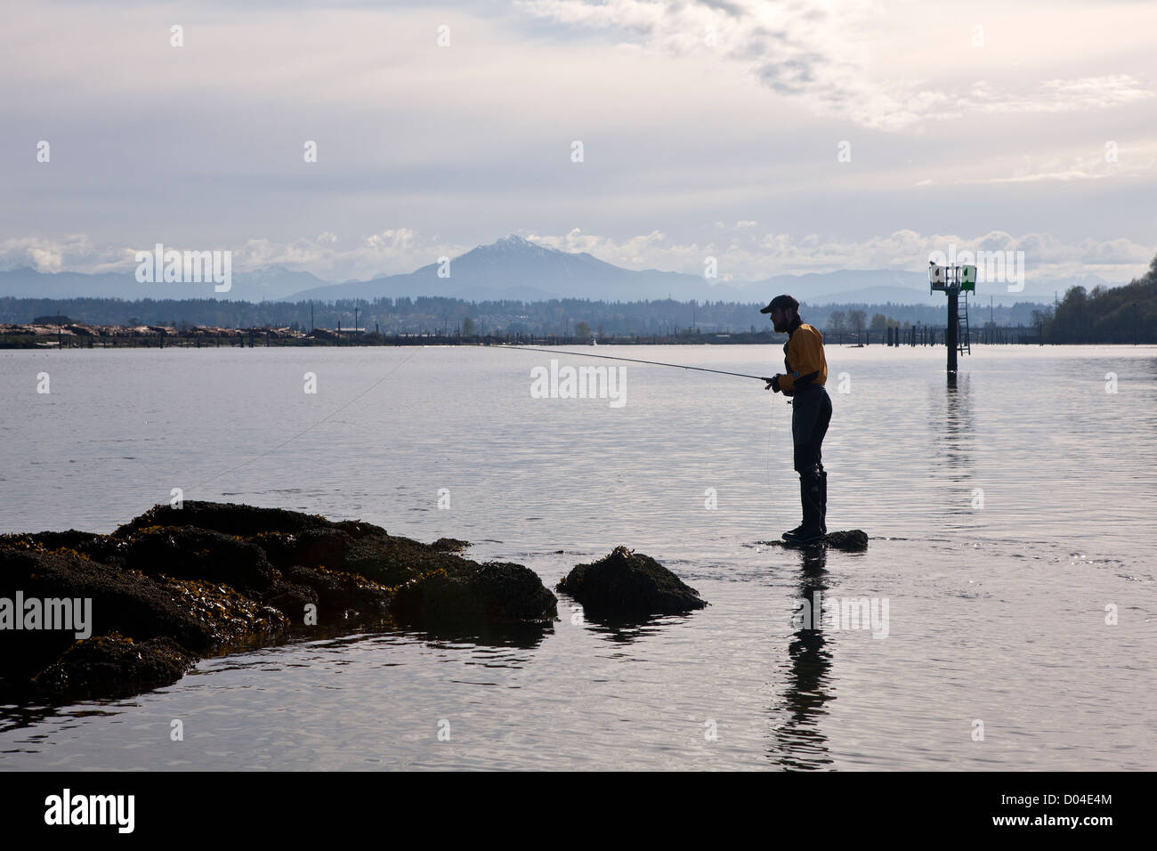 Jetty island, everett hires stock photography and images Alamy