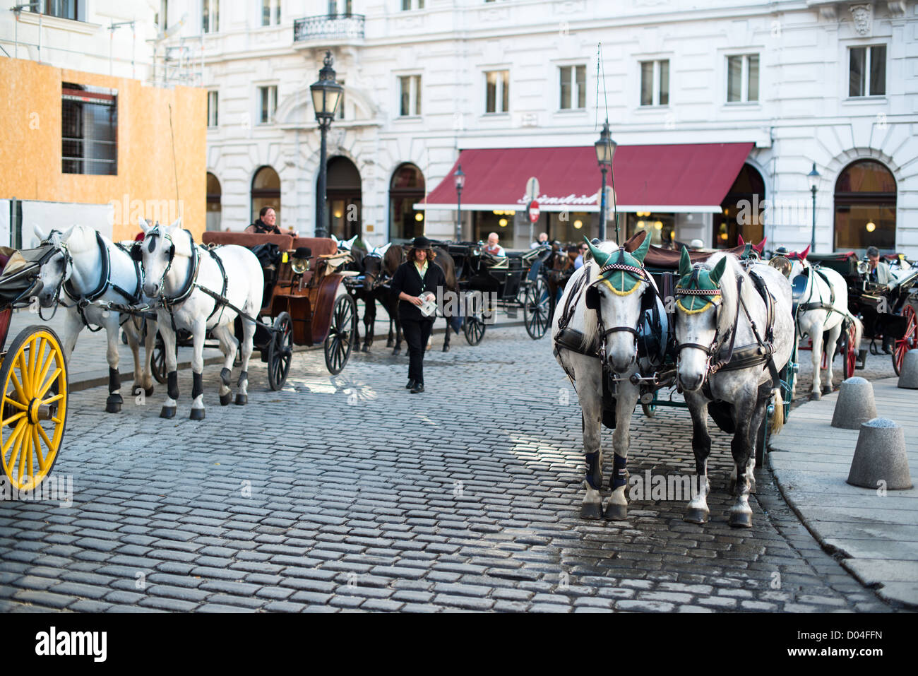 Traditional horses and carriage (also called Fiaker) waiting at the ...