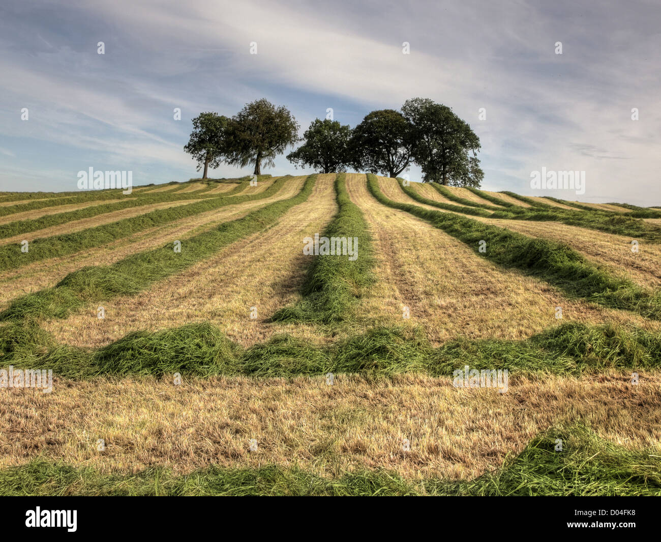 Lines cut in grass hires stock photography and images Alamy