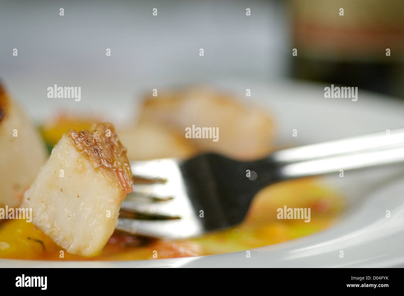 seared scallops Stock Photo