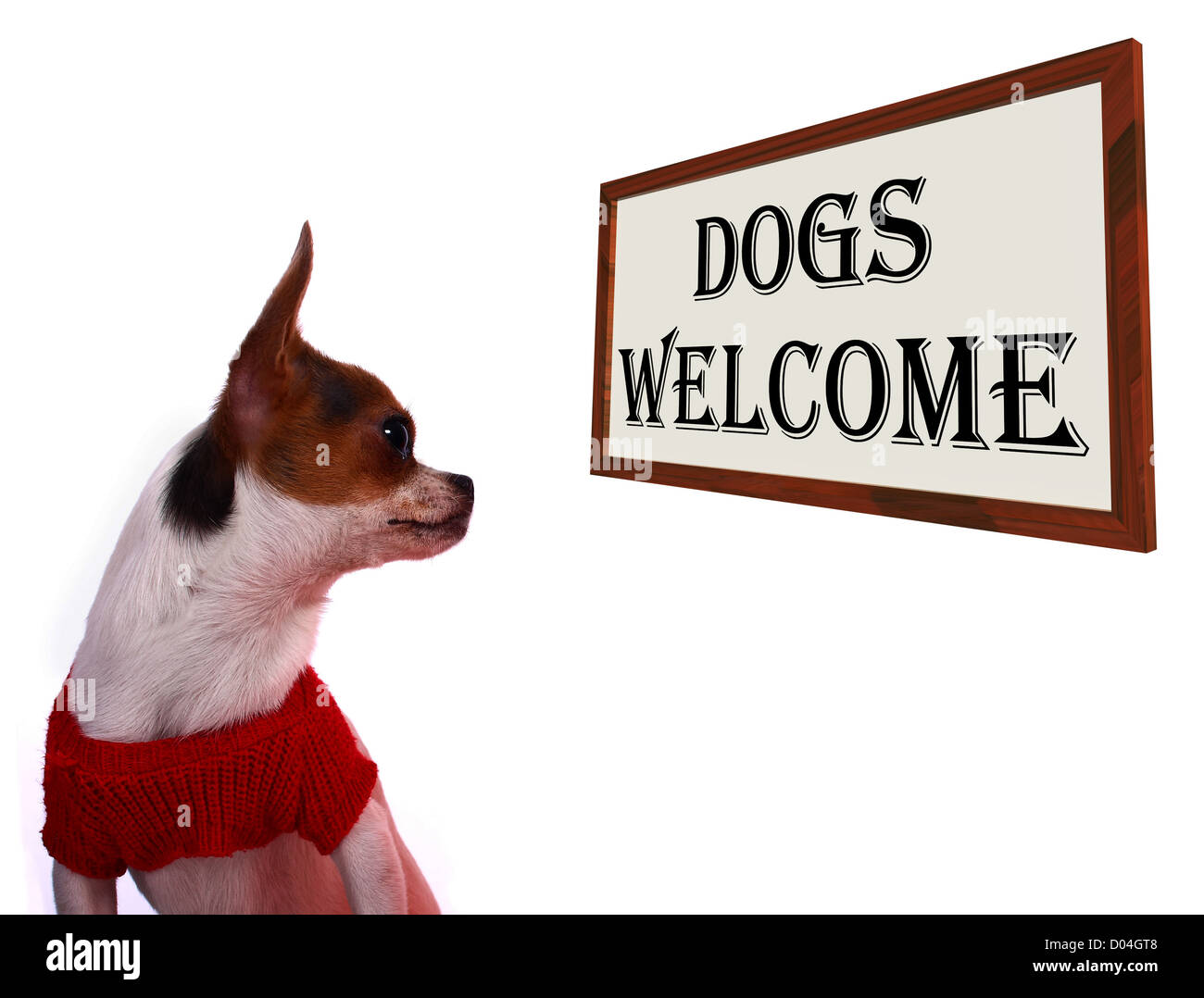Dogs Allowed Sign Shows Doggie Friendly Hotel Stock Photo Alamy