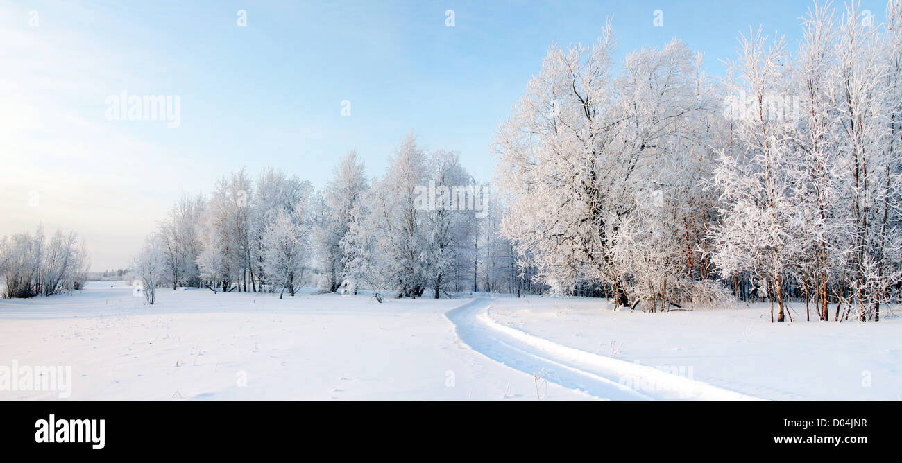 Panorama of freezing day. Stock Photo