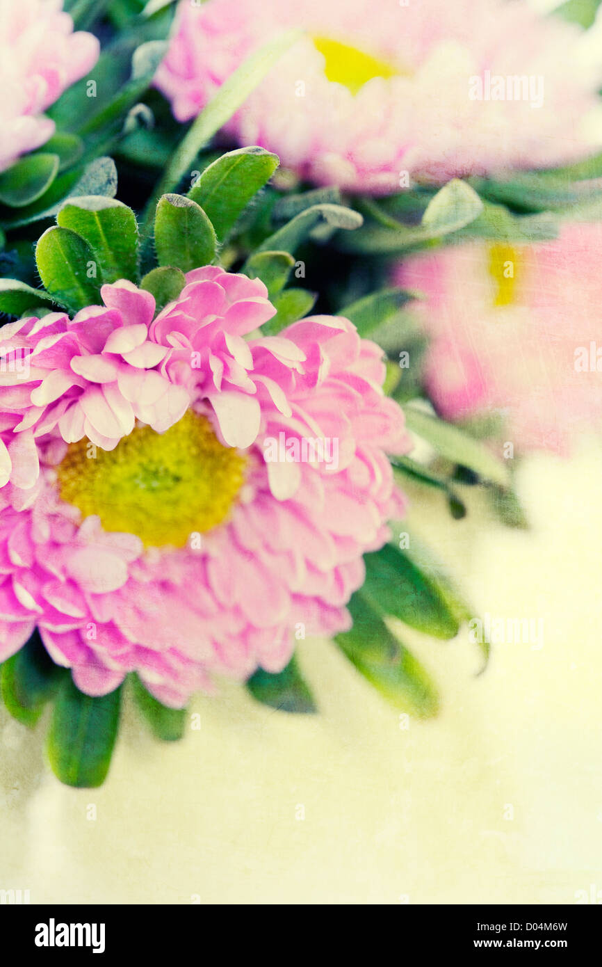 Artistic display of vibrant flowers hi-res stock photography and images ...