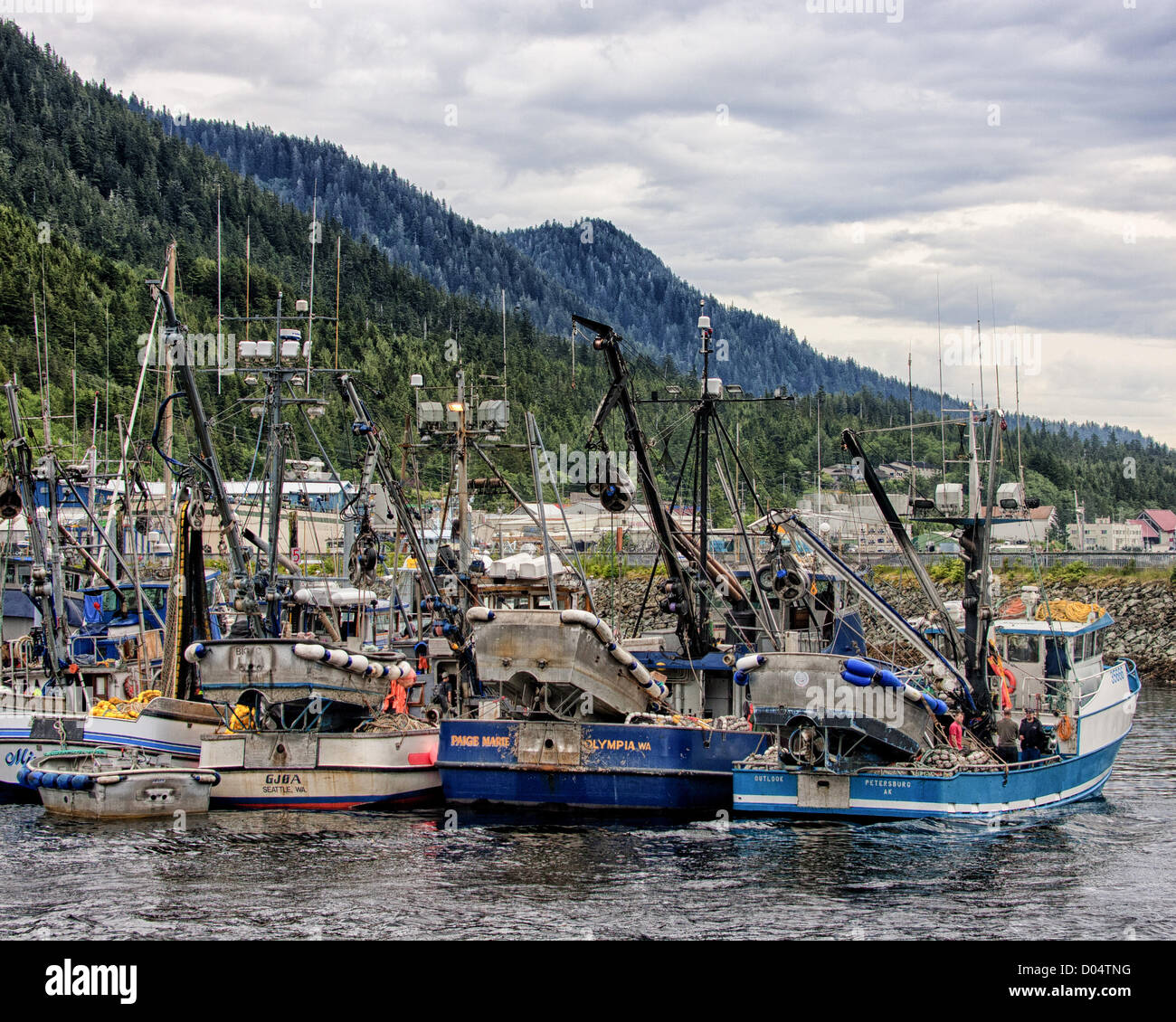July 6, 2012 Ketchikan Gateway Borough, Alaska, US A forest of