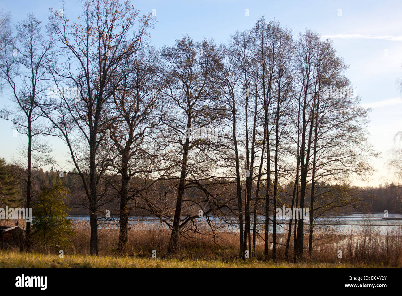Kottlasjön, Kottla lake, Lidingö (Sweden) Stock Photo