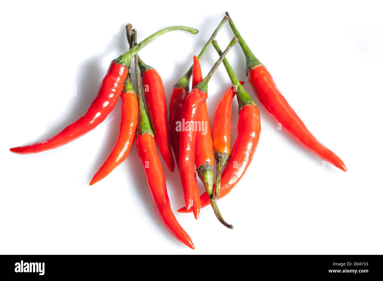 'Piri piri' Chili pepper, Tabascopeppar (Capsicum frutescens) Stock Photo