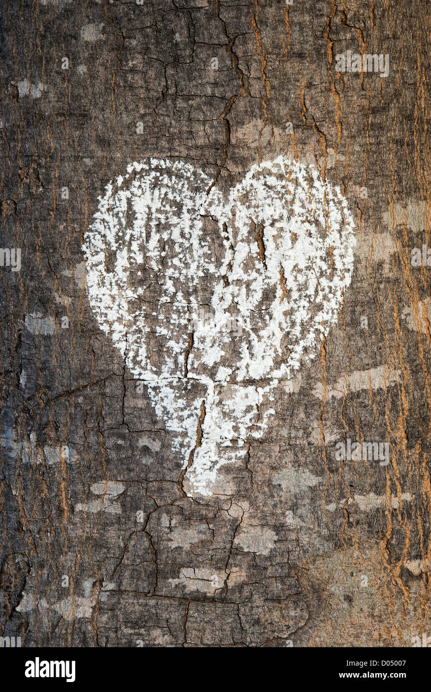 Love heart chalked on a tree trunk in India Stock Photo