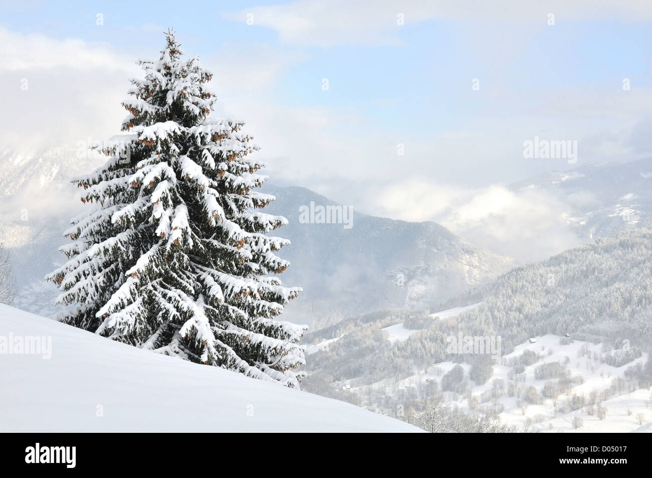 Fir mountain hi-res stock photography and images - Alamy