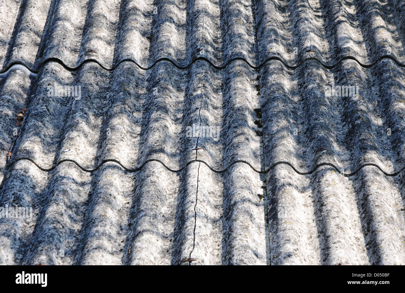 corrugated asbestos roof on byre in Poland Stock Photo