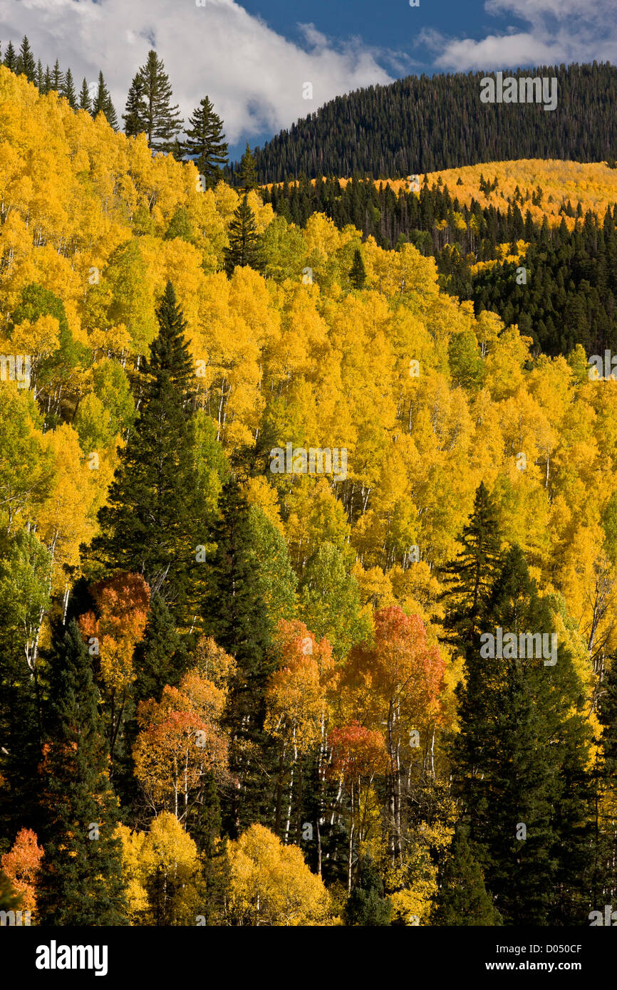 San juan mountains dolores hi-res stock photography and images - Alamy