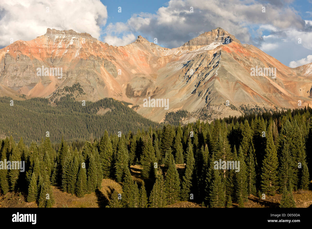 Vermillion Peak, 13, 894 ft 4235 metres with high forest of Engelmann's Spruce, Picea engelmannii and Aspens, San Juan mountains Stock Photo