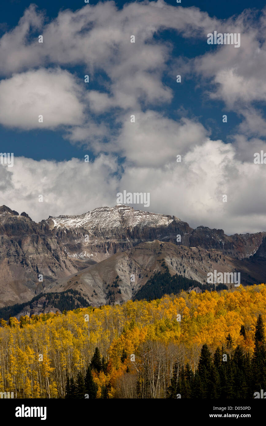 Aspen and Spruce forests in autumn, looking up towards Mount Sneffels Wilderness, San Juan Mountains, Colorado, USA Stock Photo