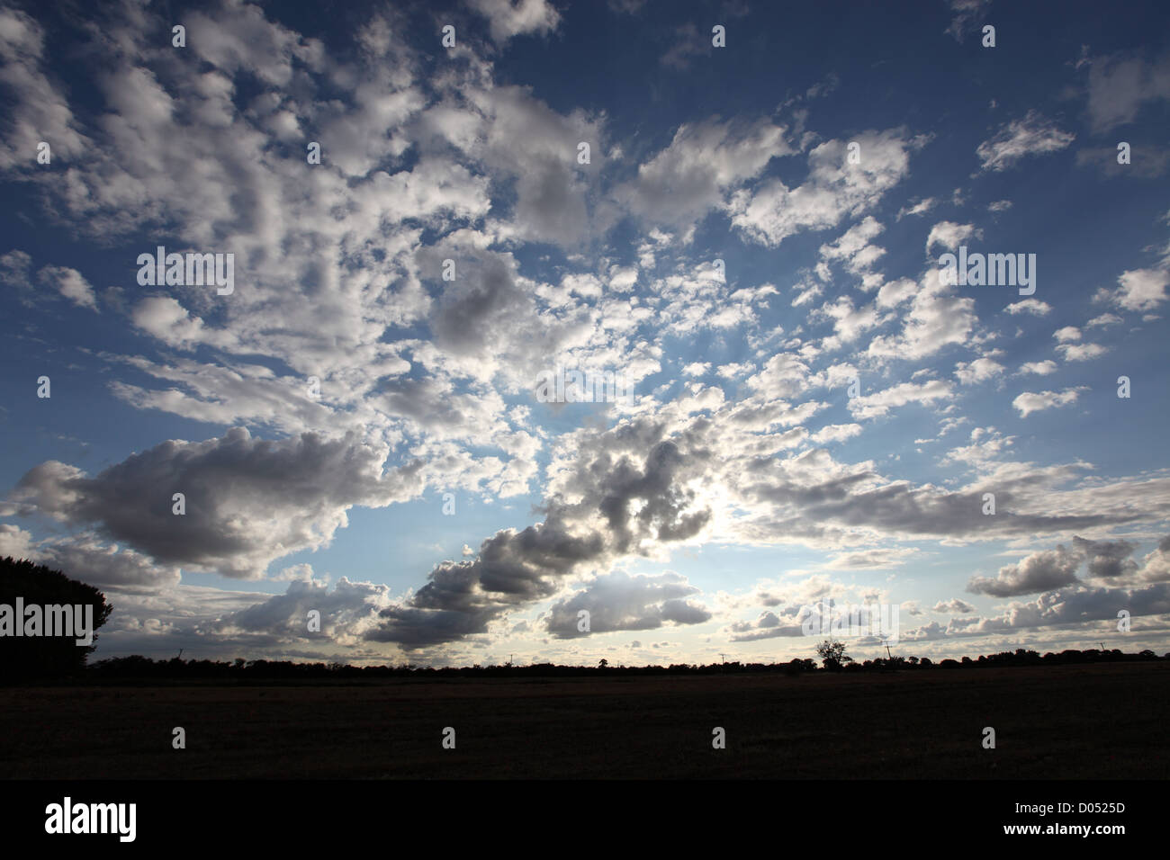 dramatic display of cumulus clouds seen in summer, following rain, in the early evening Stock Photo