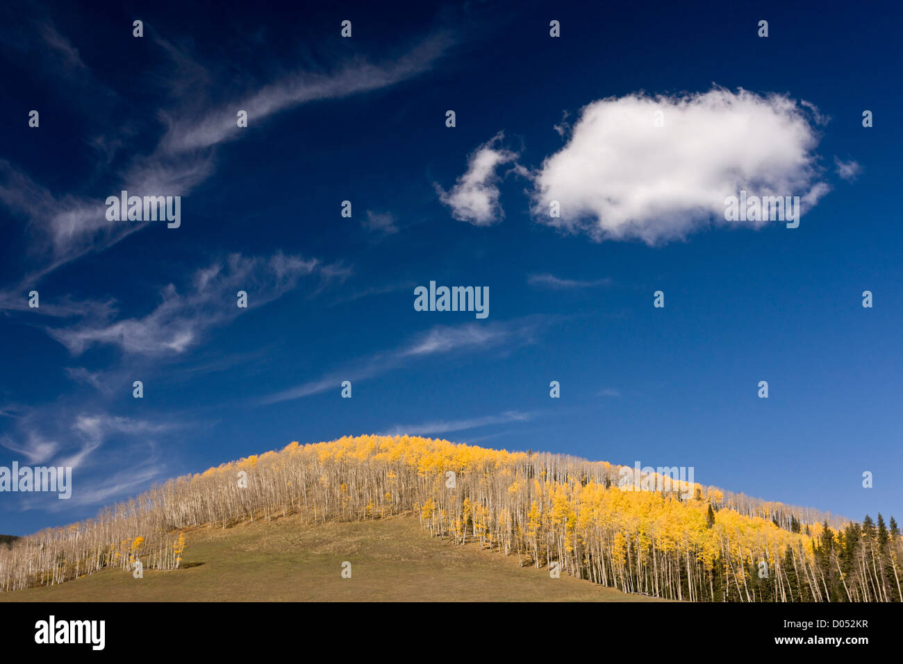 Rounded hill with autumnal aspens and clouds, Wilson Mesa, San Juan mountains, Colorado, USA Stock Photo