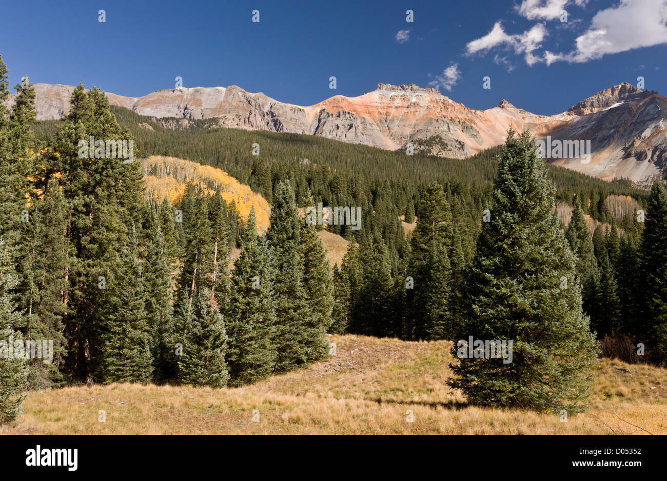 Vermillion Peak, 13,894 ft with high forest of Engelmann's Spruce, Picea engelmannii and Aspens; San Juan Mountains, Colorado, Stock Photo