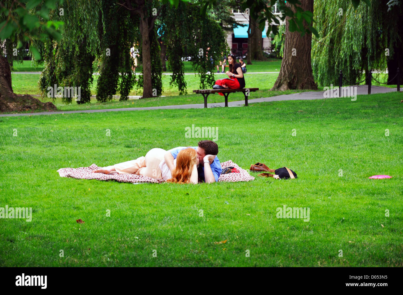 Couple kissing in park Stock Photo Alamy