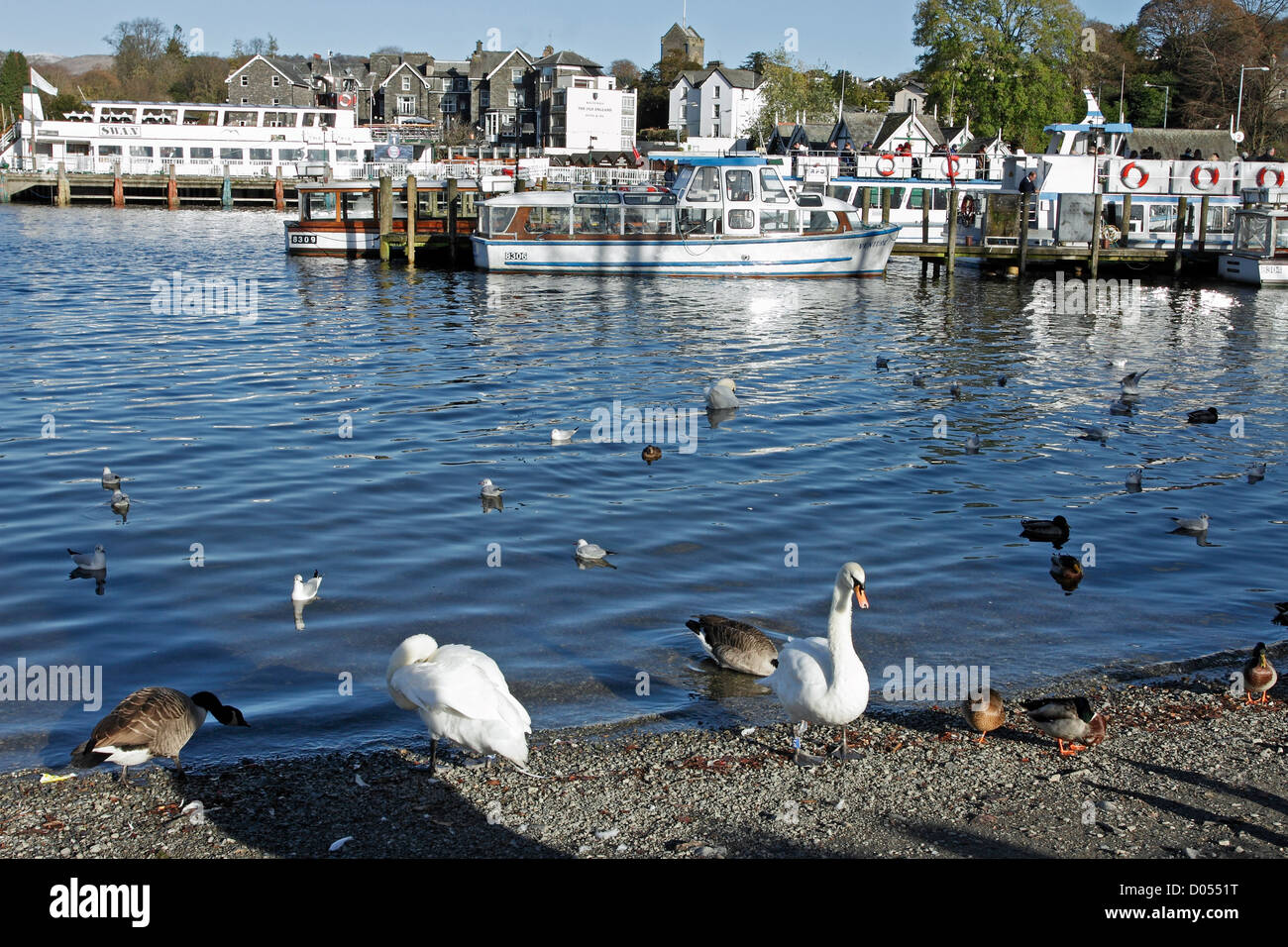 A view of the shore of Lake Windermere, Cumbria at Bowness Stock Photo