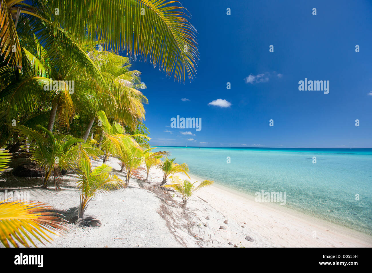 Stunning tropical beach Stock Photo