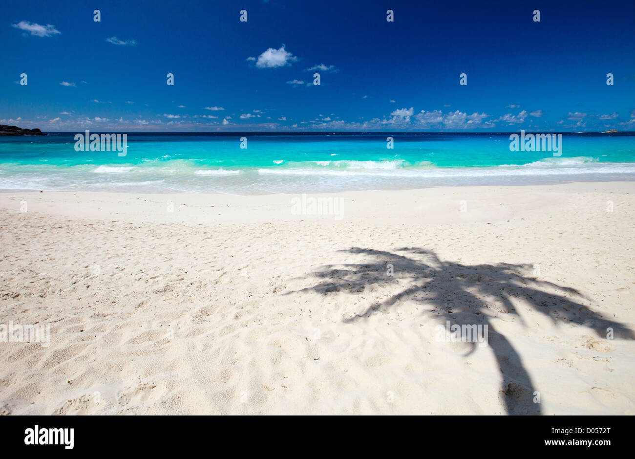 Palm tree shadow on sand Stock Photo - Alamy