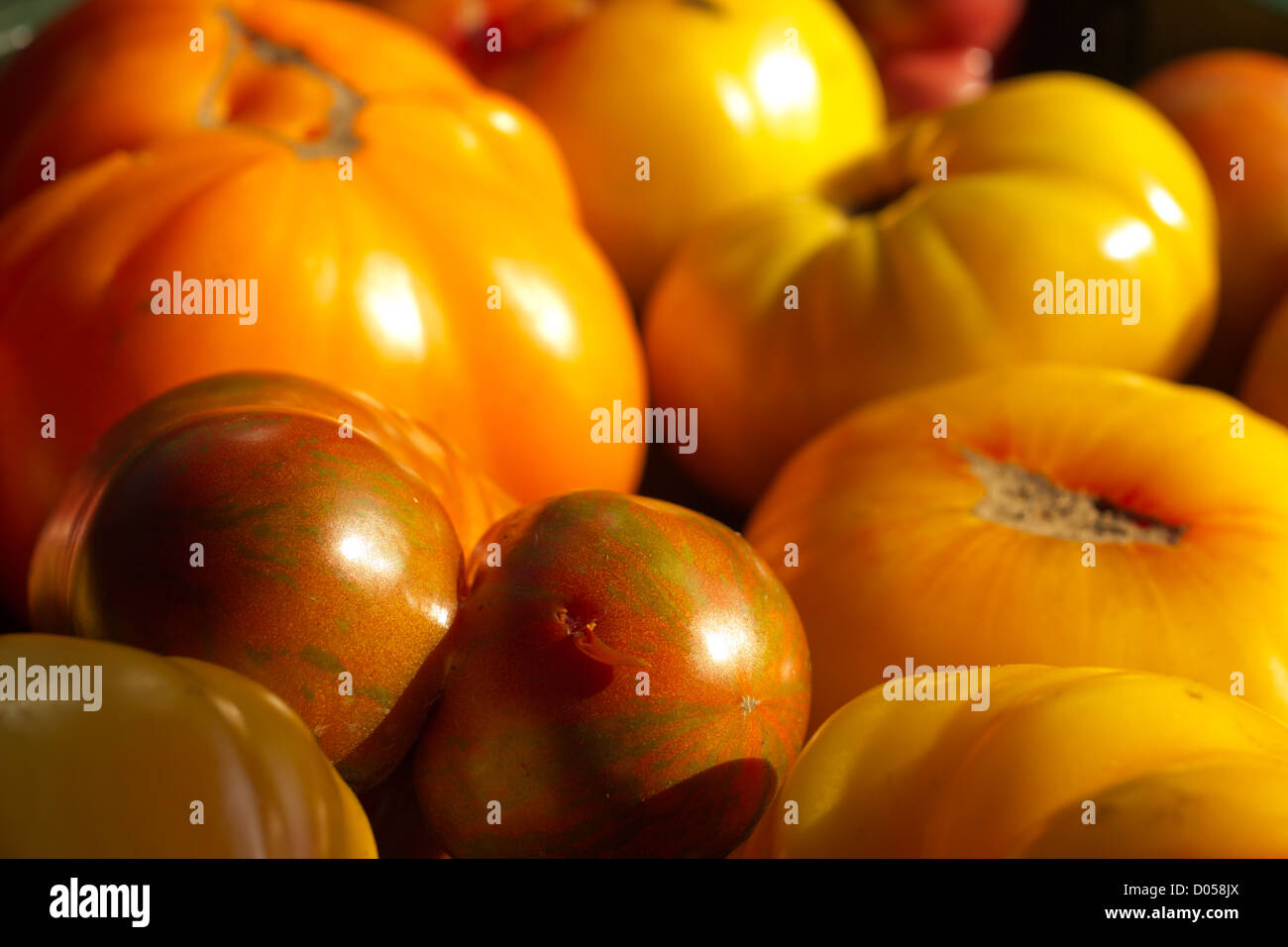 ripe heirloom tomatoes Stock Photo Alamy