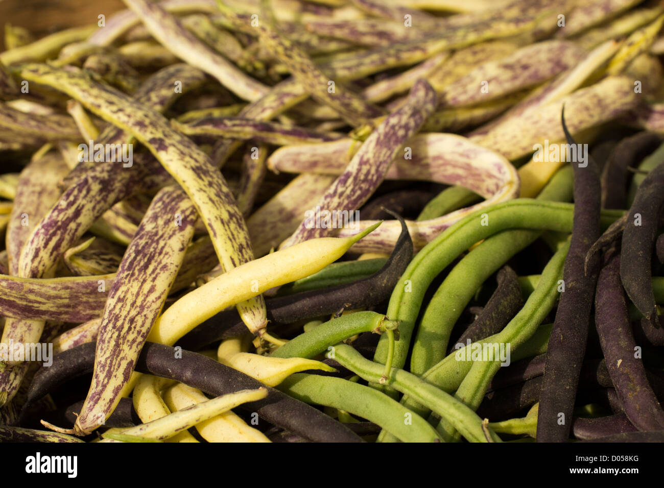 Sonesta Beans seeds 5g Yellow Southern peas Спаржевая Фасоль S1096 Farmer idea 