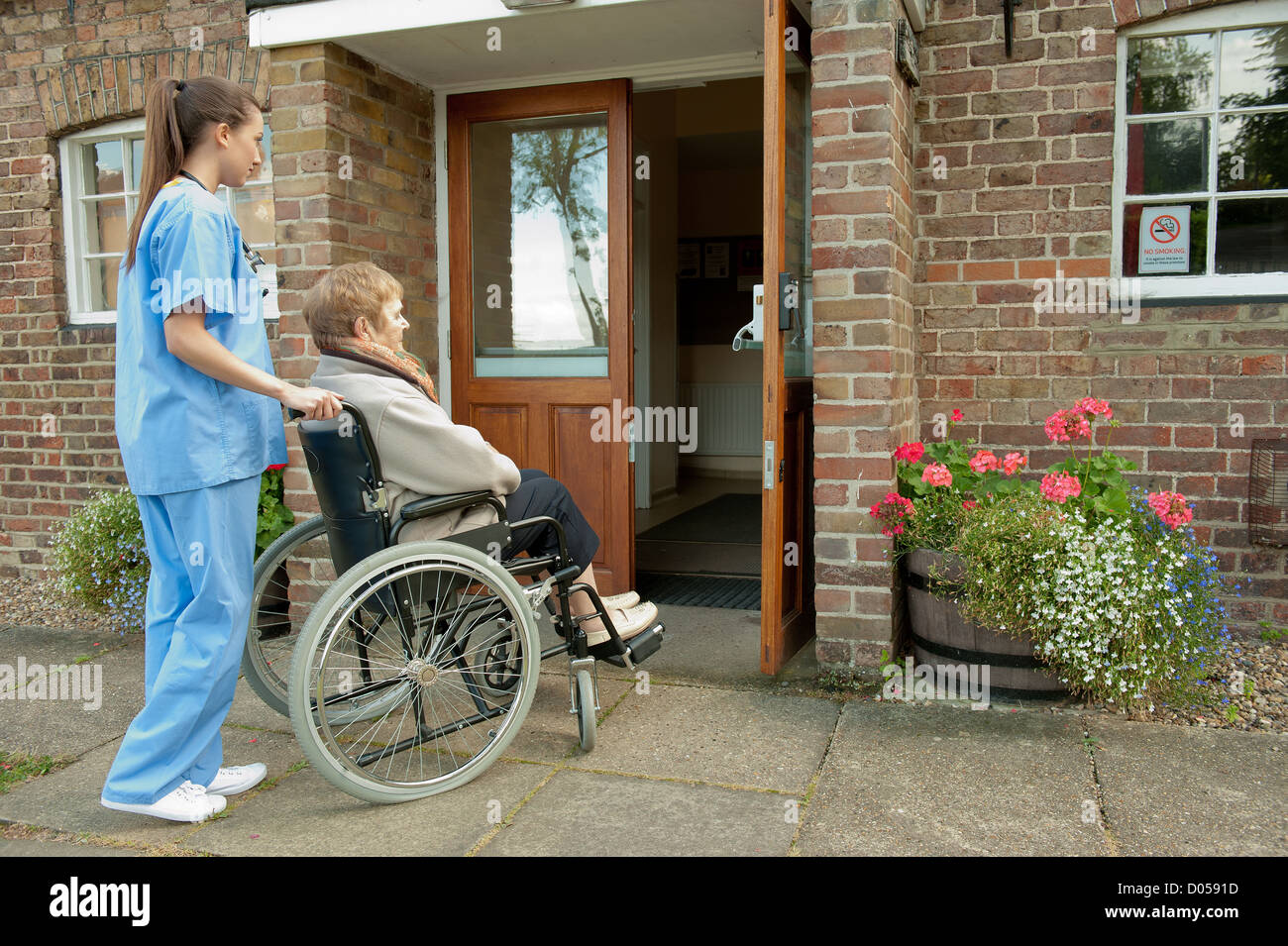 Nurse/doctors pushing elderly female patient in a wheelchair towards entrance of hospital or care home. Stock Photo