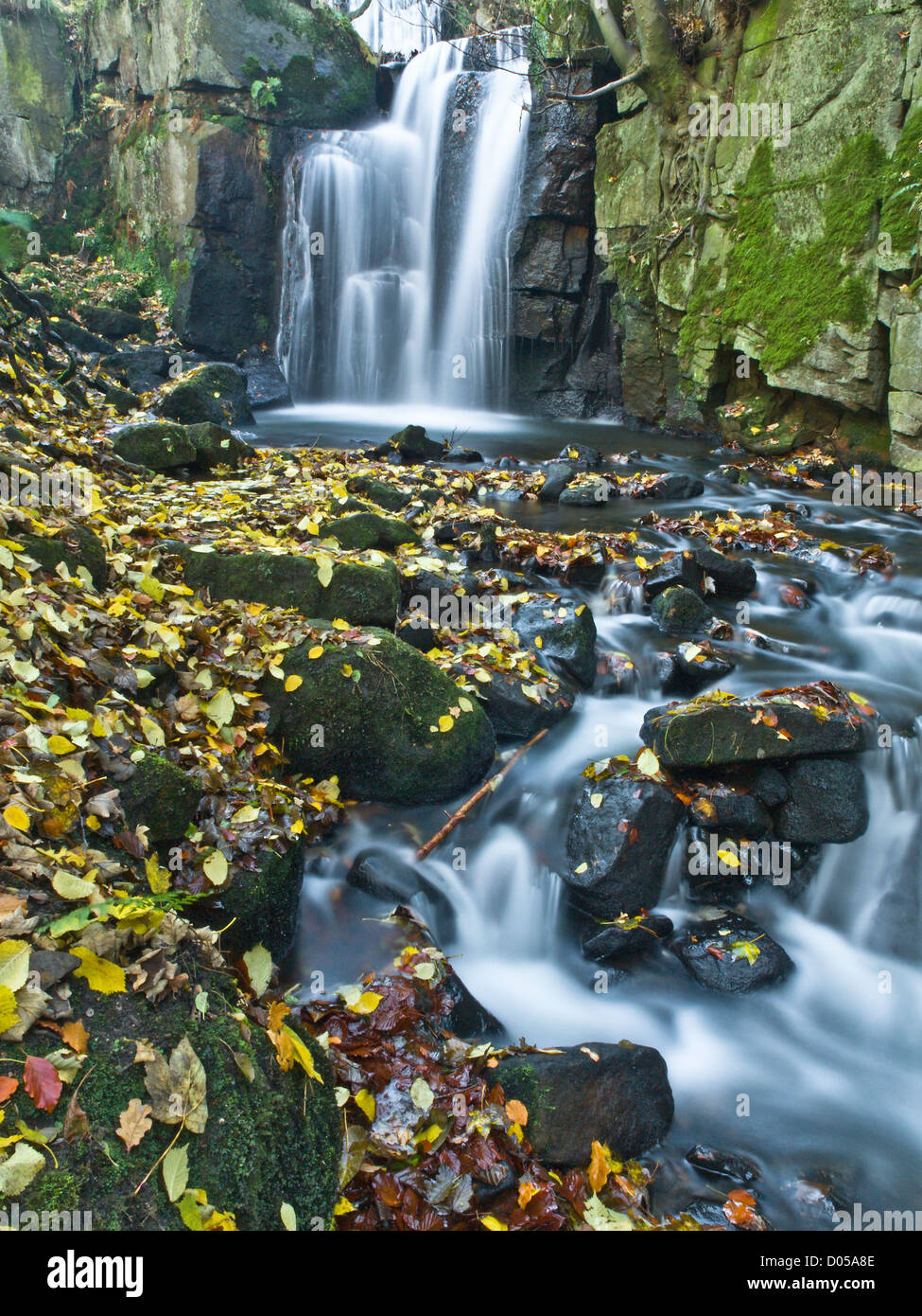 fast flowing waterfall over rocks covered in autumn leaves Stock Photo