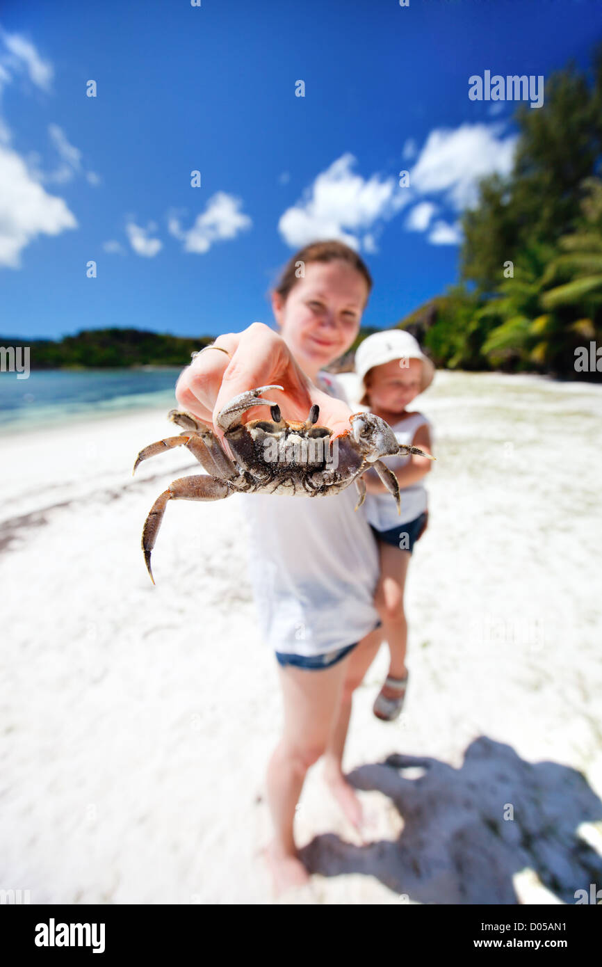 Crab mom hi-res stock photography and images - Alamy