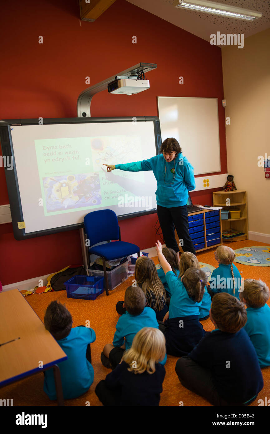 interactive whiteboards in primary schools
