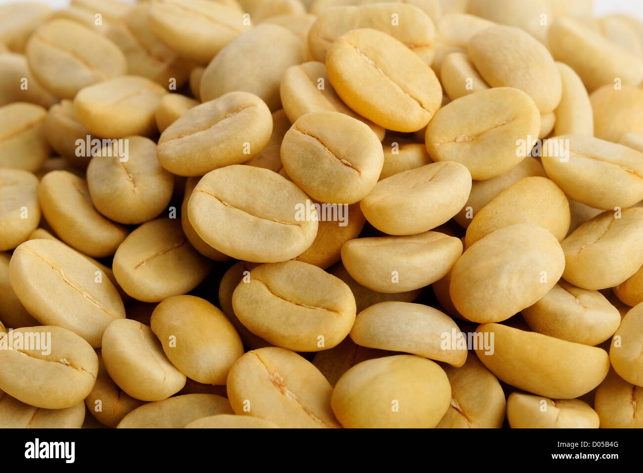 Unroasted coffee bean Stock Photo Alamy