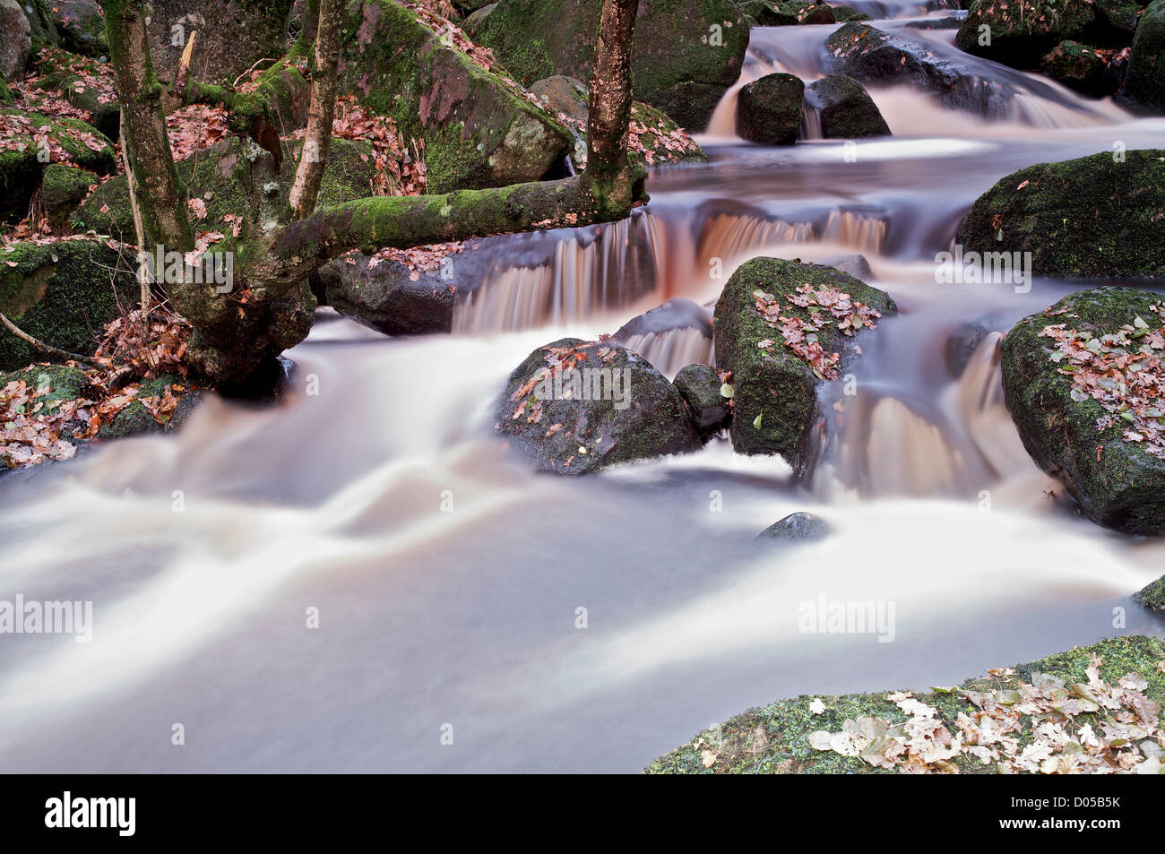 Padley Gorge, Peak District, Derbyshire, England, UK Stock Photo - Alamy