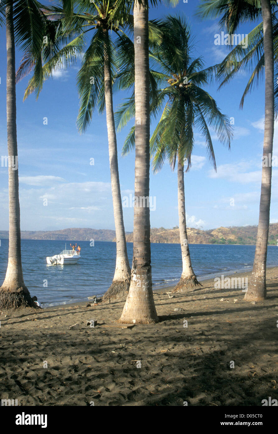Palm trees, Playa Panama, Guanacaste, Costa Rica Stock Photo - Alamy, image size:893x1390