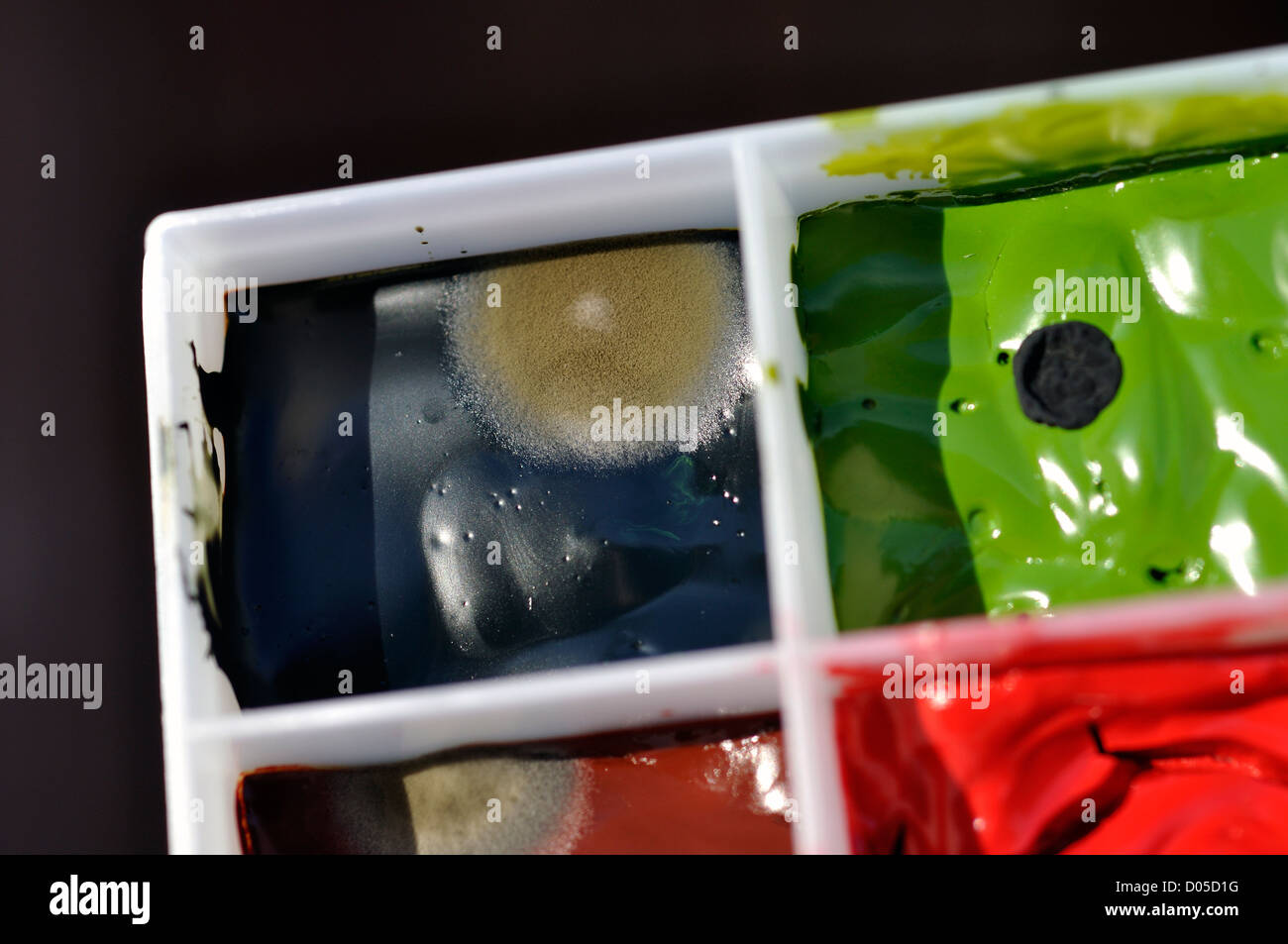Mold growing on watercolor paint in palette Stock Photo Alamy