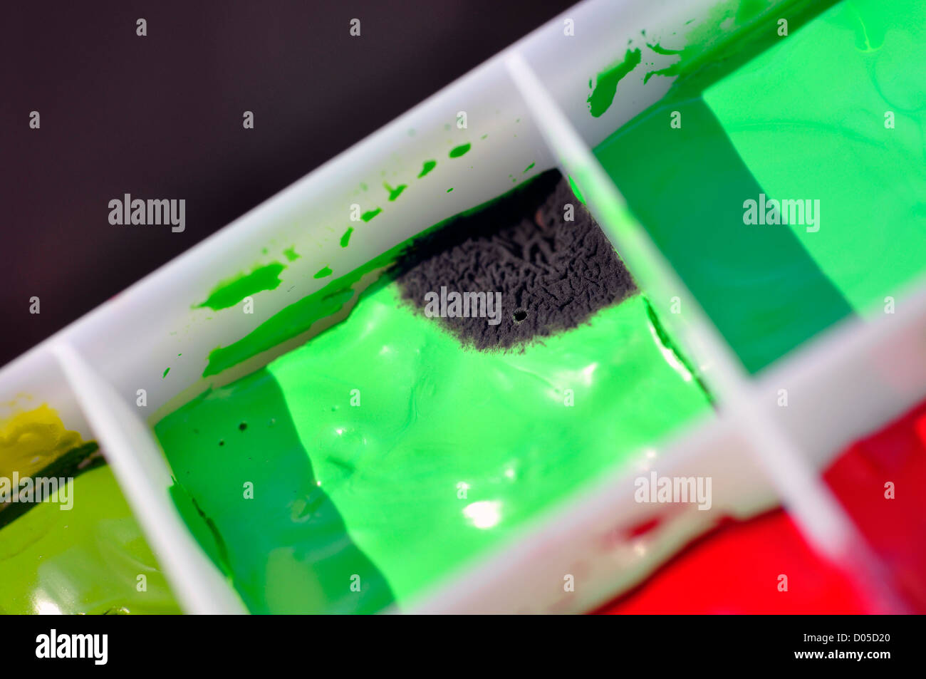Mold growing on watercolor paint in palette Stock Photo Alamy