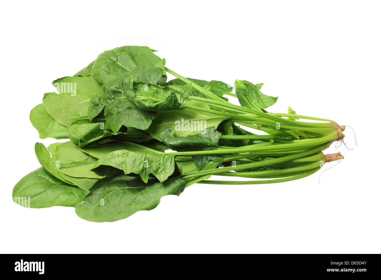 Bunch of Spinach Stock Photo