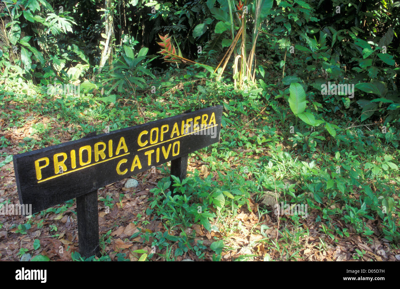Parque Nacionale Cahuita, Limon, Costa Rica Stock Photo
