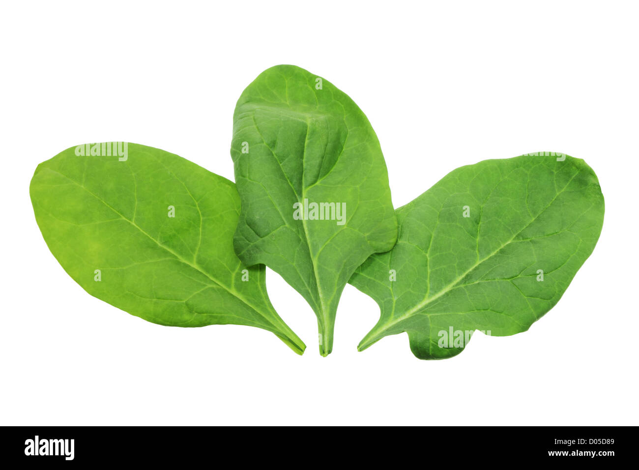 Spinach leaves hi-res stock photography and images - Alamy