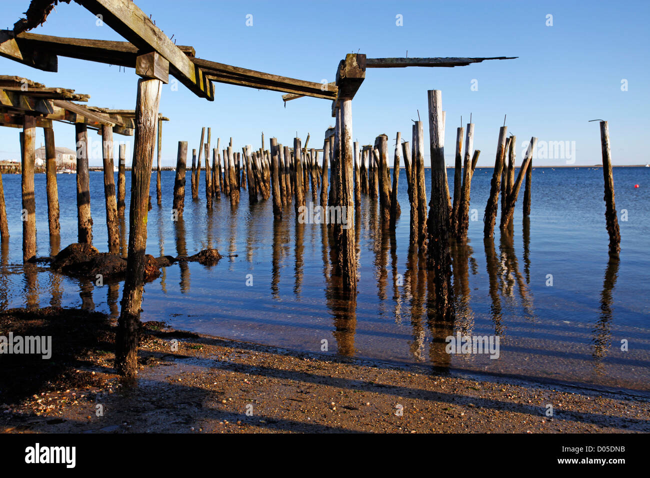 Old wooden pilings on the beach, Provincetown, Cape Cod, Massachusetts, America Stock Photo