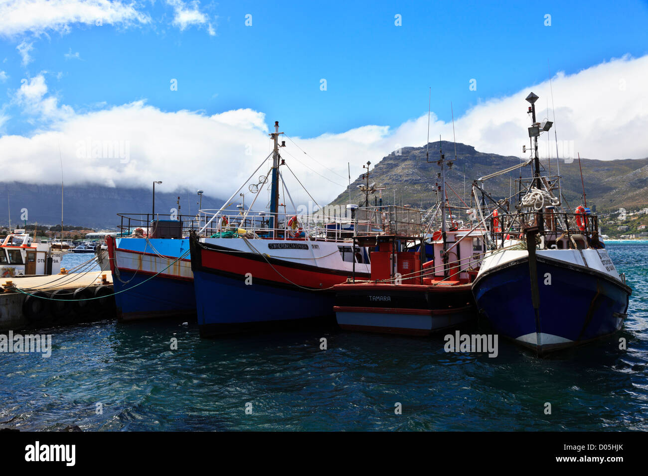 Cape Town, South Africa. Fishing boats at anchor in Hout Bay harbour