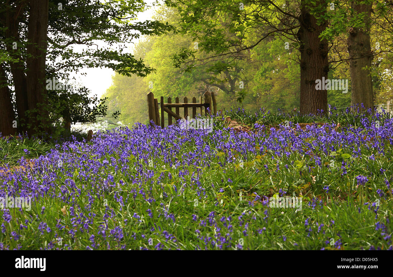 Hailsham East Sussex High Resolution Stock Photography and Images - Alamy