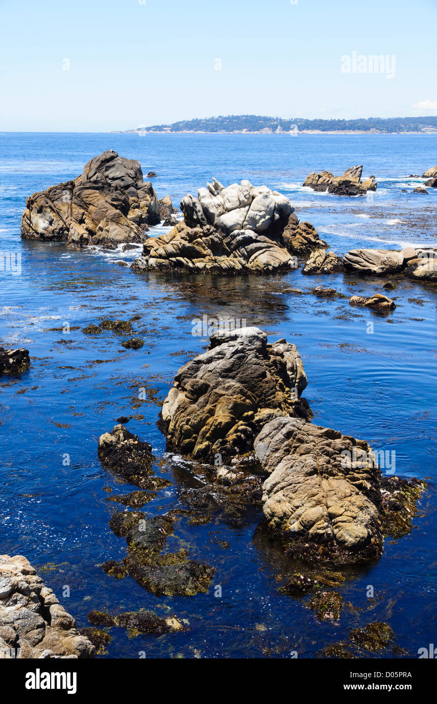 Whalers' Cove, Point Lobos national park, California coast. Stock Photo