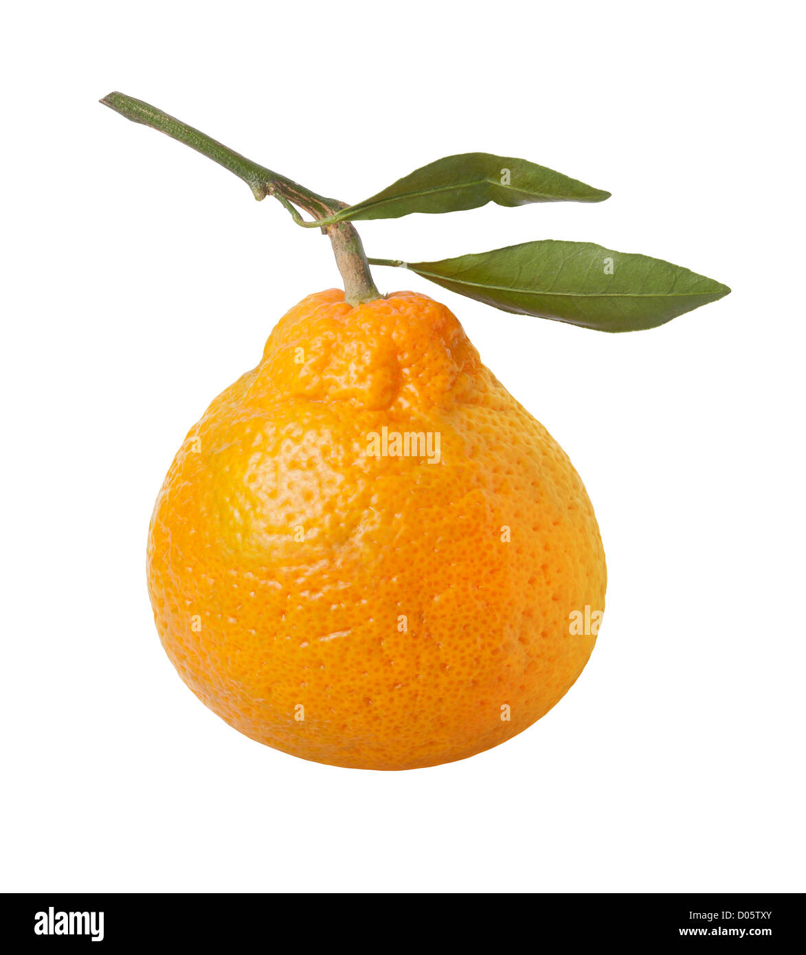 Satsuma Orange isolated on white Stock Photo Alamy
