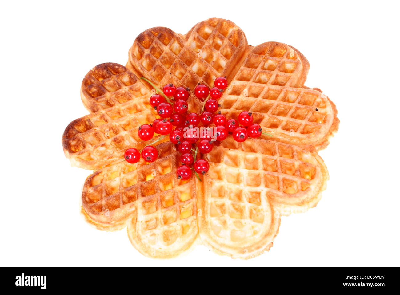 baked waffles with redcurrant isolated on white background Stock Photo