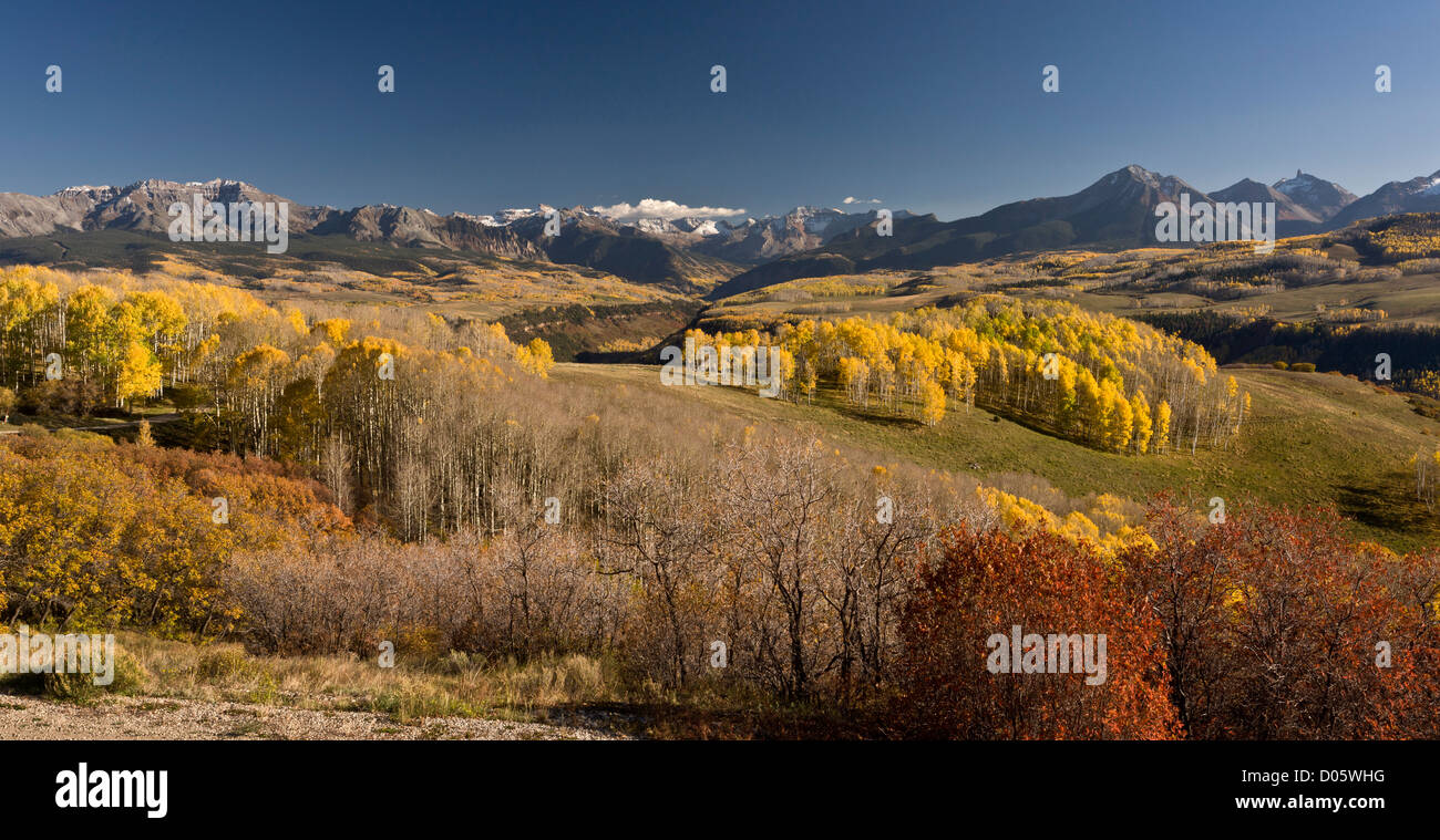 Aspen forests and pasture in autumn, on Wilson Mesa with the high San Juan mountains beyond. Colorado, USA Stock Photo