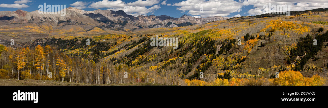 Looking from Wilson Mesa across to Mount Sneffels Wilderness, with vast aspen forests in autumn, San Juan mountains, Colorado Stock Photo