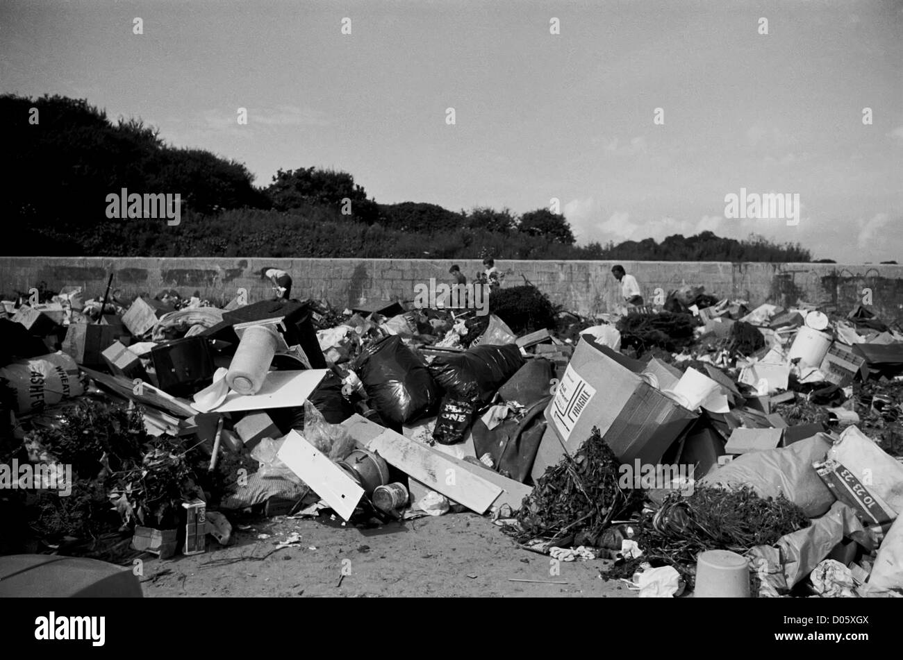 One of three pictures showing the Hastings Council rubbish tip in 1979 ...