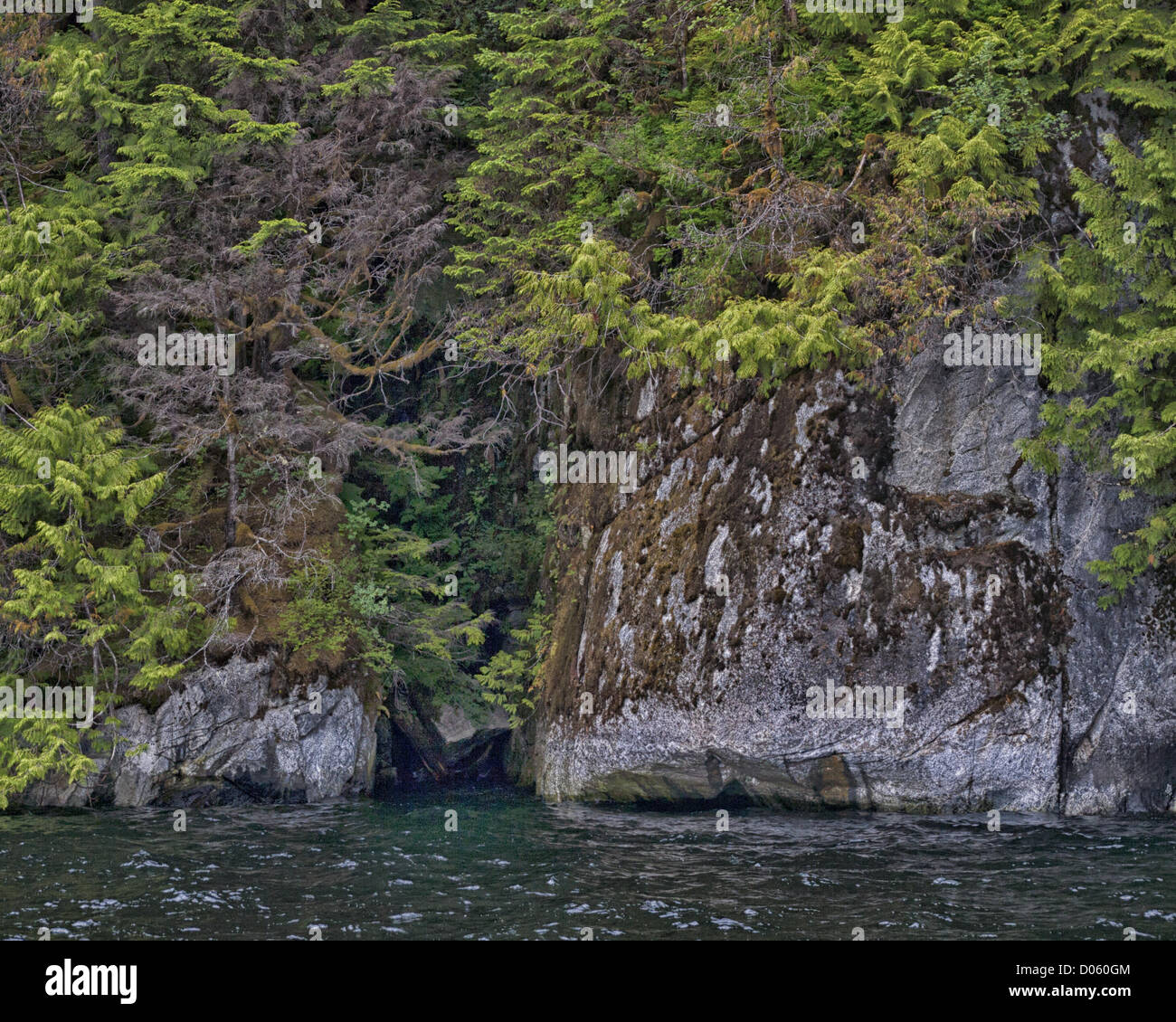 July 6, 2012 - Ketchikan Gateway Borough, Alaska, US - Trees of the evergreen rain forest provide a counterpoint to the 50 to 70 million year old granite walls, sculpted by massive glacier action, in Misty Fjords Rudyerd Bay. Misty Fjords National Monument and Wilderness Area, along the Inside Passage coast of southeastern Alaska, is administered by the U.S. Forest Service and covers 2,294,343Â acres (9,246Â km) of Tongass National Forest, the largest wilderness in Alaskan national forests and is only accessible by floatplane or boat. (Credit Image: © Arnold Drapkin/ZUMAPRESS.com) Stock Photo